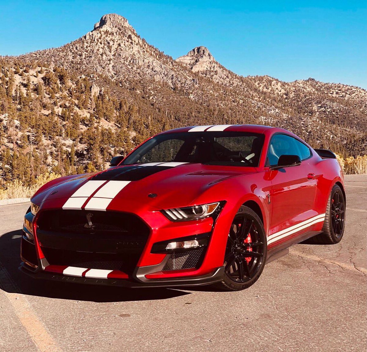 🇺🇸 Darwin D. Dirks 🏁 tweet media