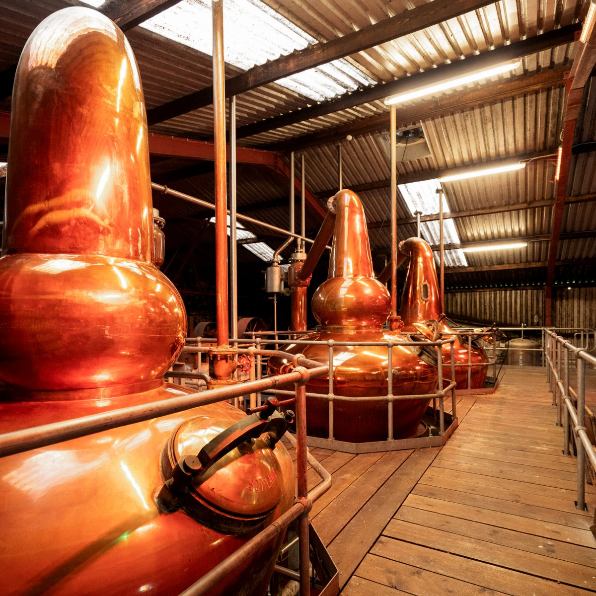 DingleWhiskey's tweet photo. Dingle Whiskey is created using three bespoke copper pot stills made by Forsyths, who are widely regarded as the best still makers in the world 🥃 https://t.co/Ub60hRqAue