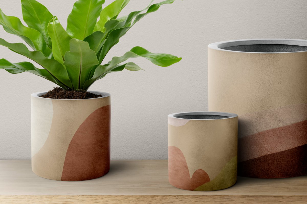 Want to give your plants a stylish home? 

Our ceramic pots are the perfect solution! With their durable and porous material, your plants will thrive while adding a touch of sophistication to your decor. #ceramicpots#indoorplants#homedecorideas#ceramicpots#indoorplants