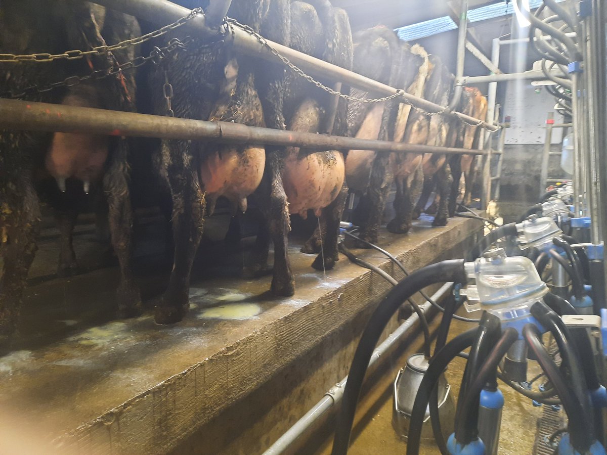 Ronan Joyce tweet media