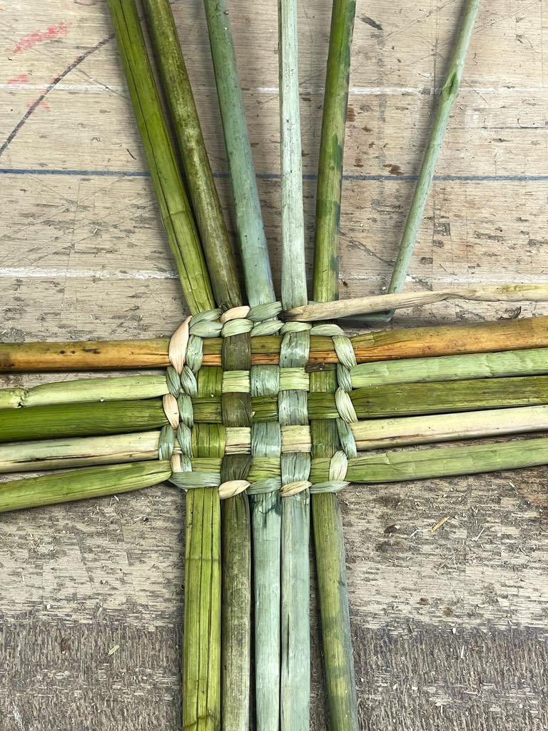 I’m on a rush weaving course this weekend - very satisfying working with such an ancient technique! This, believe it or not, is going to be a basket by the end of today… 🤞