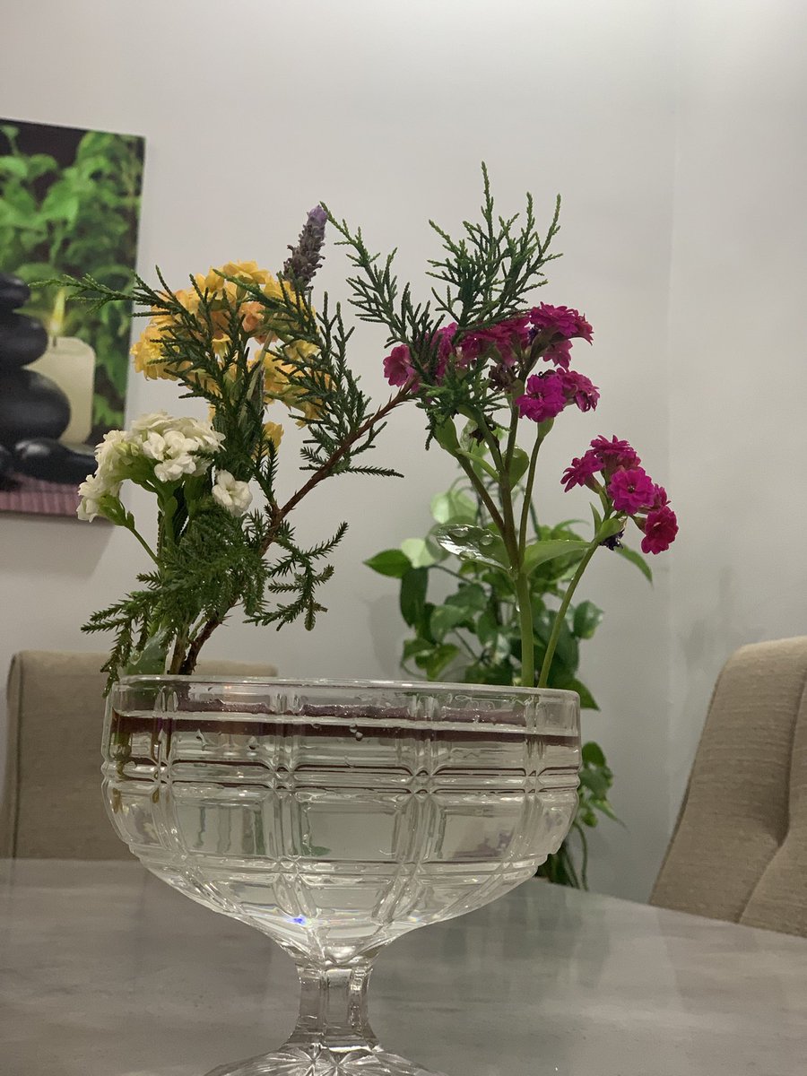 abha garden🇸🇦 tweet media