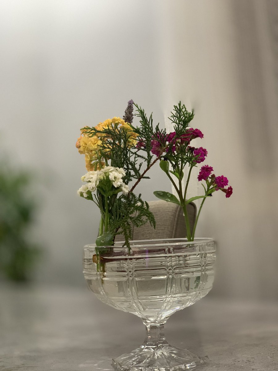 abha garden🇸🇦 tweet media