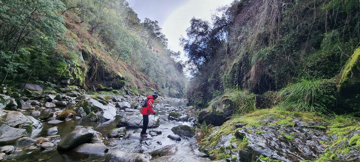 Mount Beauty Gorge #ShadowAndBone #visitaustralia #hikingadventures #River #scenery #photooftheday