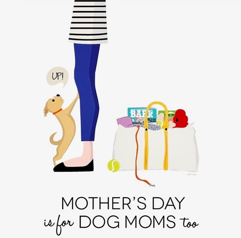 TheBarkyBox's tweet photo. Happy Mother's Day to all mums out there!🌺Specially to the four-legged mums🐾,thank you for your love and caring.🐶😻✨💖
You're all pawtastic!💕🌷
#happymothersday #TheBarkyBox #TheBarkyCompany #happinessinabox #pawbox #fourleggedfamily #fourleggedfriend #dogmomlife https://t.co/6iyVZpfO03