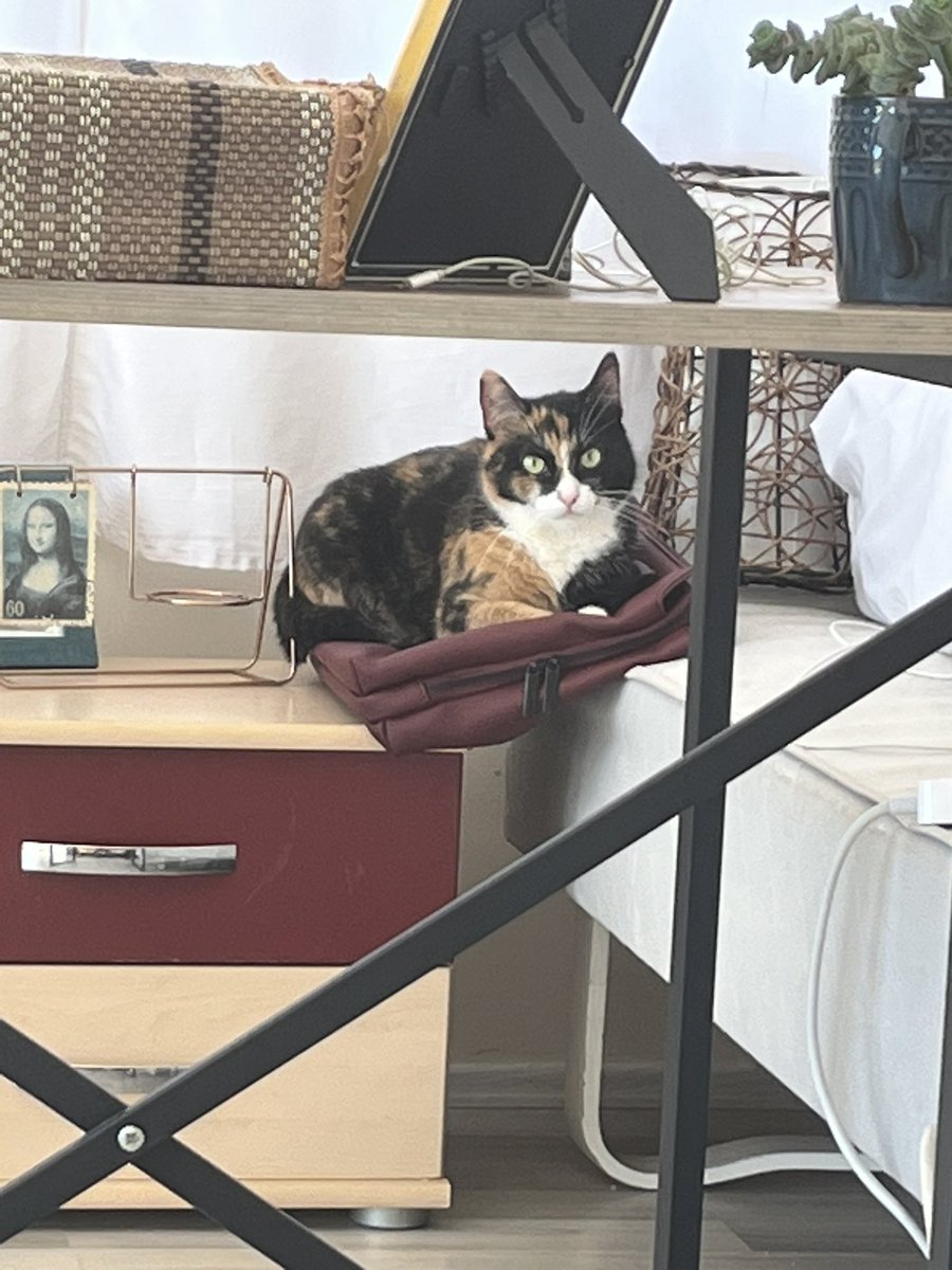 Bitforfreedom tweet media