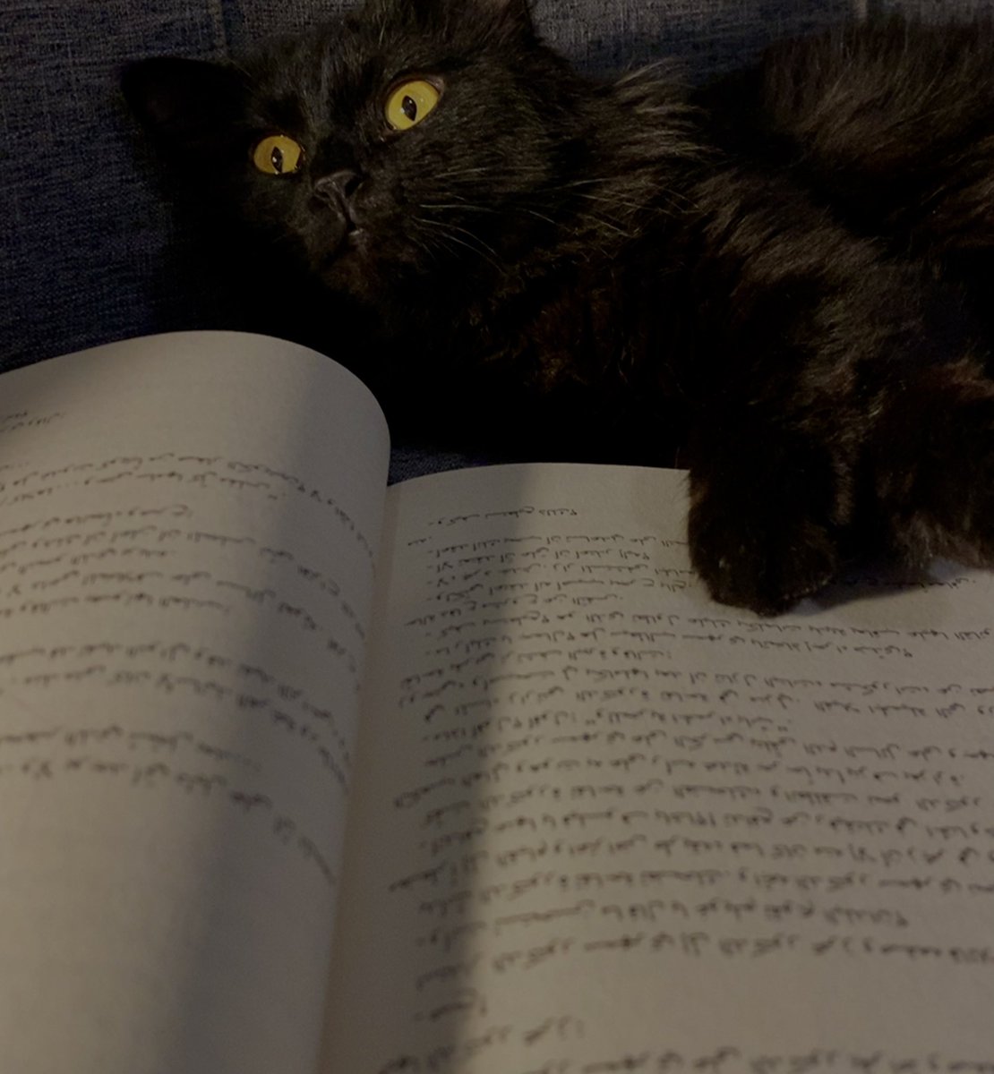 Seham | سِهام tweet media