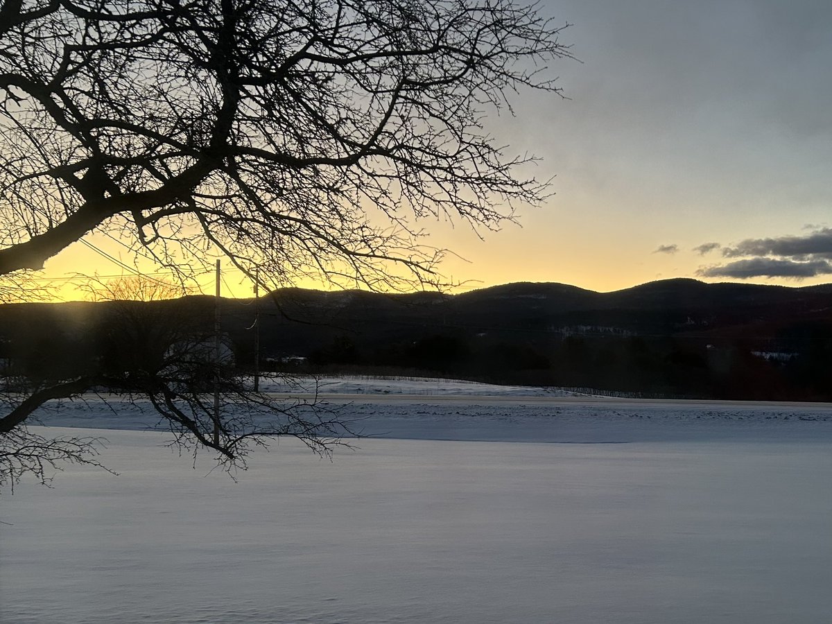 ShawnTWrites's tweet image. Not exactly #5amwritersclub, but I’ve been working on my story this morning. Went to bed thinking about my blueprint, #characterization, and the #worldbuilding. Got up w/ an idea to use juxtaposition & contrast to really make the story pop. #writing #writer #WritingCommunity