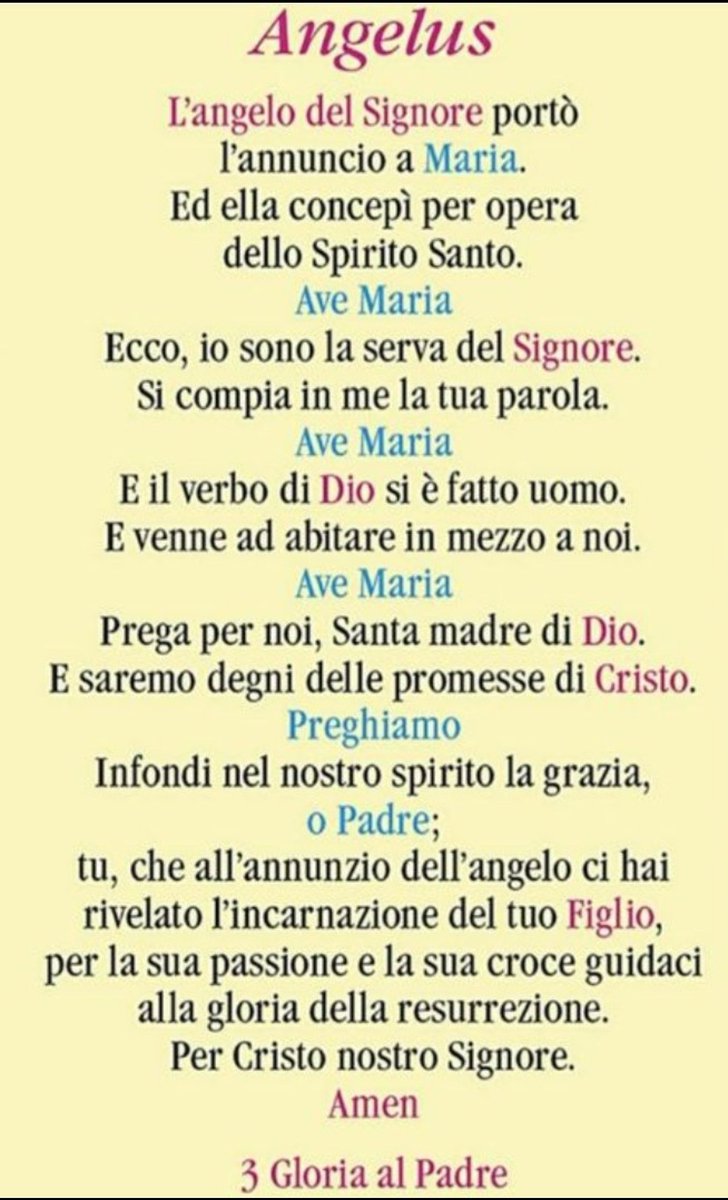 MorganilRamingo's tweet photo. Recititamo l'Angelus 🙏 https://t.co/mTSOHvdh51