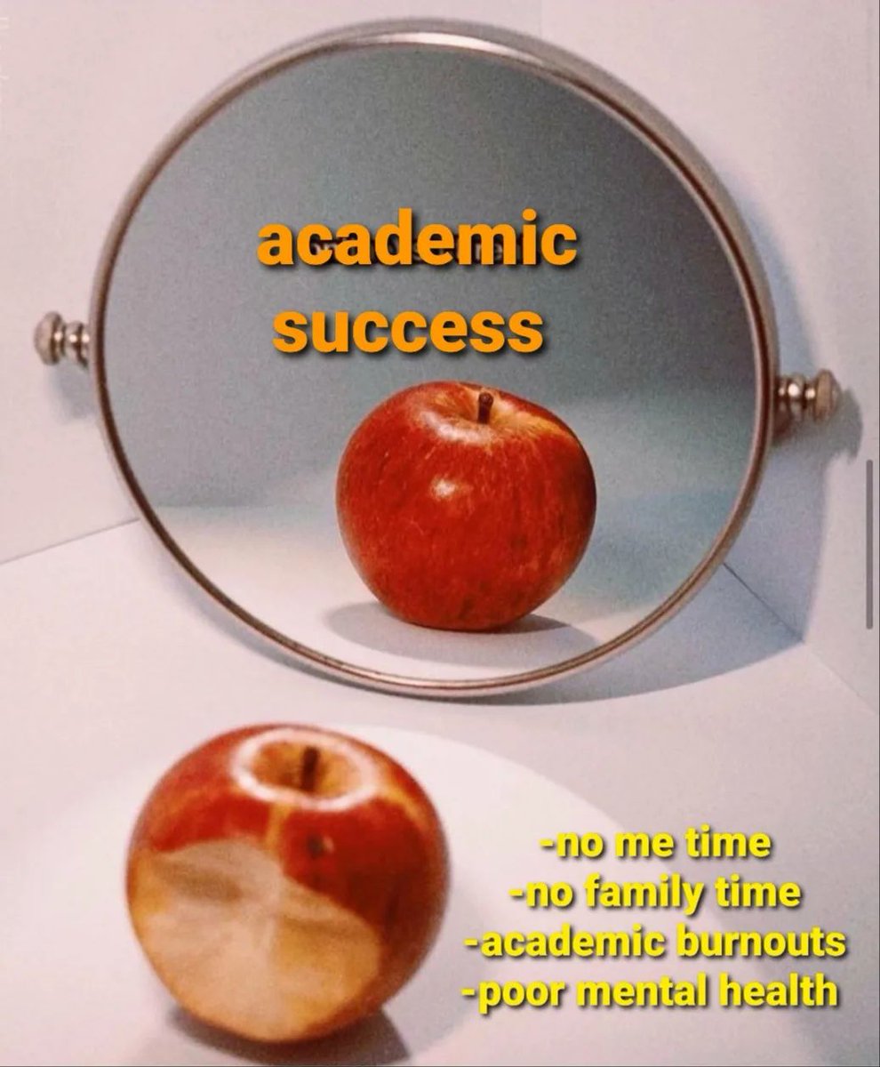 In academia, what we see 🐵  vs. what we don't see 🙈 #hapyresearchers