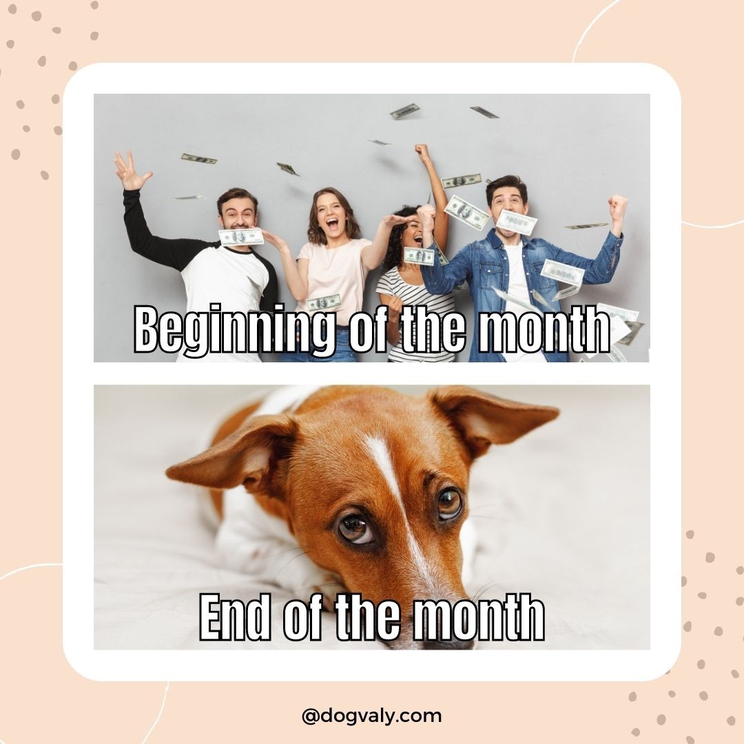 dogvaly's tweet photo. Beginning of the month vs End of the month ๐
#cutedogsofig
#cutedogsdaily #cutedoggie #dogsarelove
#dogsarebest #dogsareforlife #lovedogsforever
#cutepuppiesofinstagram #puppiesdaily #puppieslove
#puppiespedia #puppiesoninstagram #dogpuppy
#dogstagram #dogsoutside #ilovedogs https://t.co/2ONJYjWzvd