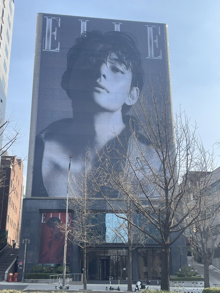 𝕤𝕒𝕜𝕦𝕣𝕒 - ❀´ tweet media