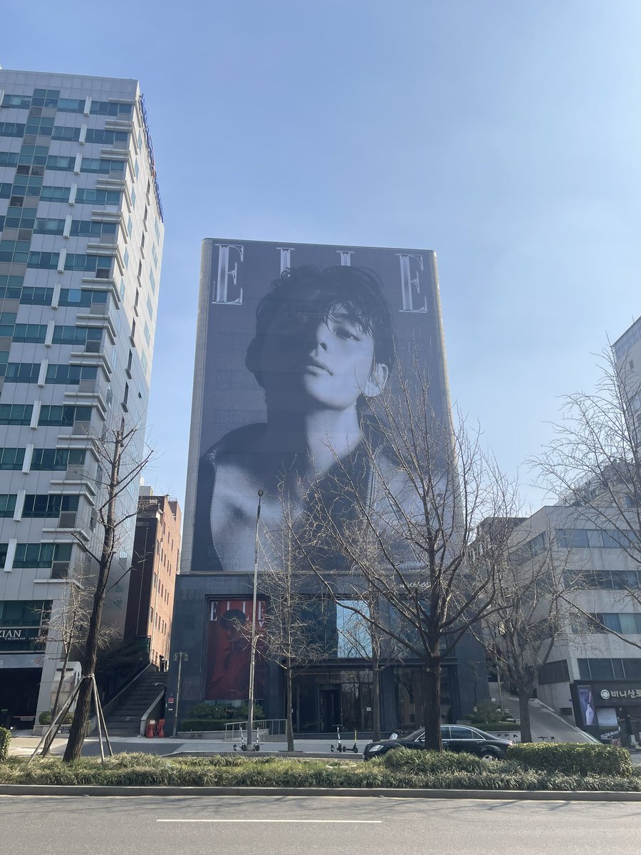 𝕤𝕒𝕜𝕦𝕣𝕒 - ❀´ tweet media