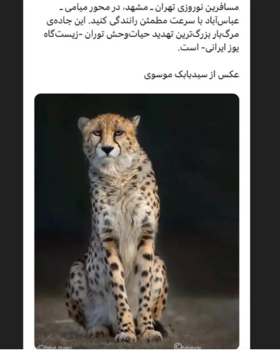 shahrudanimals's tweet photo. بیشترین تصادفات یوز ایرانی در این جاده رقم می خورد. با احتیاط رانندگی کنیم. 
#حیات_وحش #یوزایرانی #یوزپلنگ #حفاظت_از_محیط_زیست https://t.co/mGlR8JoREQ
