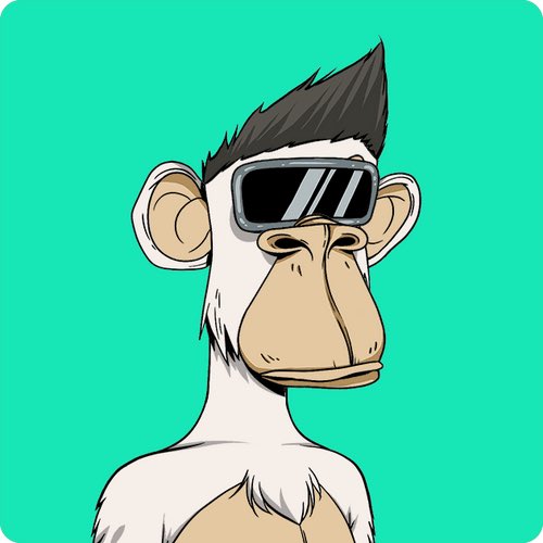 0xJedi's tweet photo. Bored Ape Yacht Club! https://t.co/DaahoTczQF