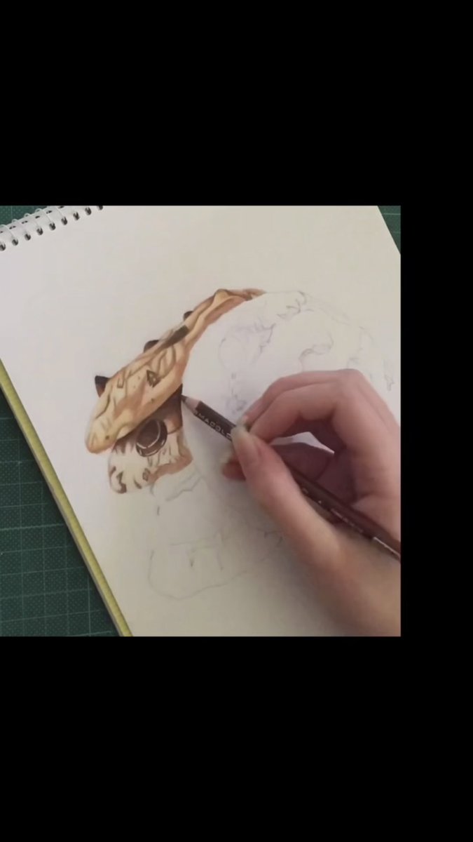 CookieSirg's tweet photo. Cookie Drawing!

Click the link below to watch the full video!

https://t.co/7E2ZvA2KYV

#art #artist #artwork  #drawing #realistic #realisticart #australianartist #supportartists #short #shorts #youtubeshorts #cookie #food #desserts #dessert #yum #yummy #chocchipcookie https://t.co/ZILnUkps5I