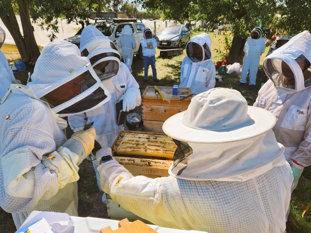 Cormac Farrell on Twitter "Harvest day at the Canberra Region 