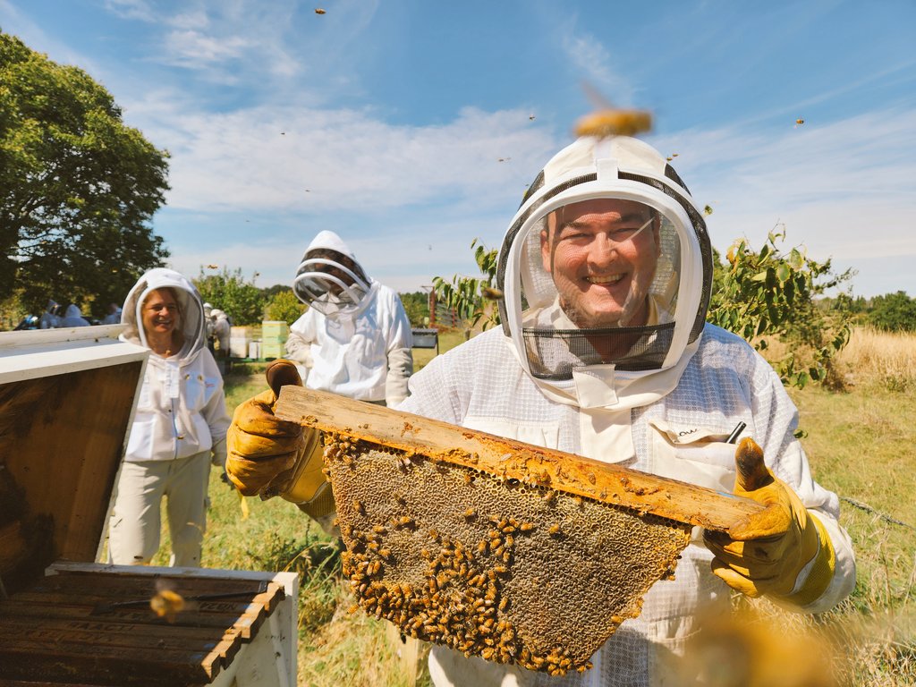 Cormac Farrell on Twitter "Harvest day at the Canberra Region 