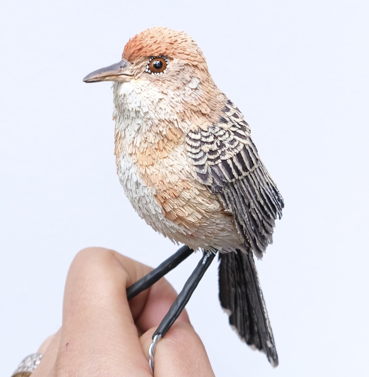 Here’s our 11th poser from the Shola Skyislands , Golden Headed Cisticola . It’s extremely challenging to paint birds that look like this . It’s difficult to judge where one shade of colour ends and a new one begins . #goldenheadedcisticola #handmadebird #paperbird