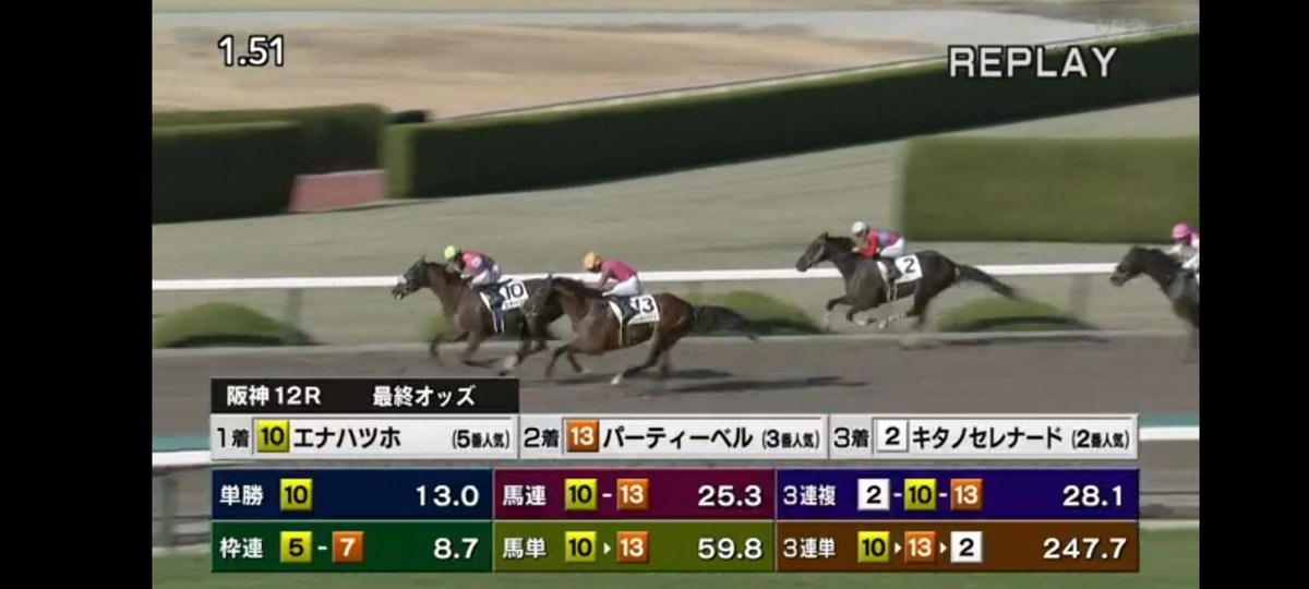 jslCnCfSRauMdLP's tweet photo. 勝負レースnote

本命
⑬パーティーベル２着🎉
三番人気

⑩とのワイドもゲット
複勝ゲット
3連複は5点で28倍

文句ないら

note購入者　サロンメンバーおめでとう

今日は5レースnote推奨して
3レース的���🎉

ブッカーズもツイッター勝負もあたり

しゃーー

来週も俺に任せろや https://t.co/aV6rX42Rb8