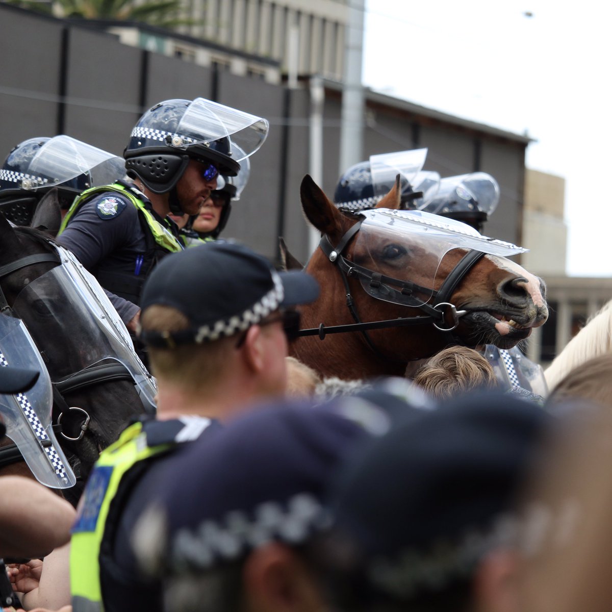 LensCompassion's tweet photo. Photos from the protest against anti-trans Posie Parker in Melbourne Australia. 
#acab #animalrights #melbourneprotest #TransRightsAreHumanRights #antifa #nazis https://t.co/MIZHZlDiH1