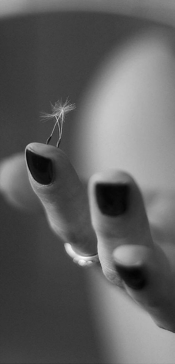 Thefuturespacex's tweet image. 