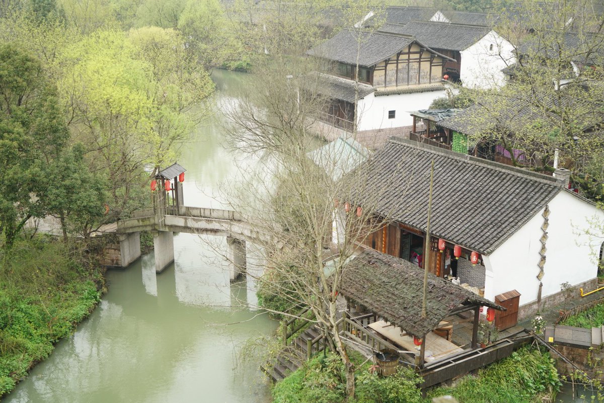 Photos in Xixi wetland (sounds cute in ennglish).