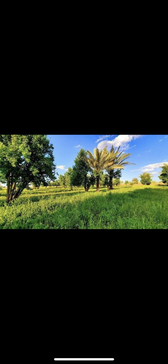 rt11_1's tweet photo. @A_305_As بغداد https://t.co/kpbSY0LJKS