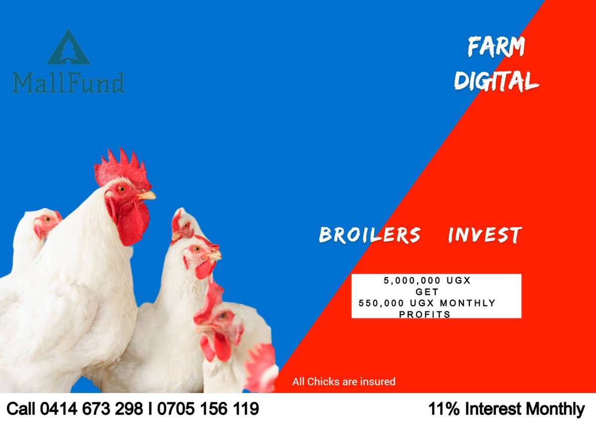 bamwinejnr's tweet photo. Happy Sunday! It's a perfect time to discuss securing your financial future as a couple.
Let us help with your planning.
#MallFund
#FarmDigital https://t.co/utzCnRXIUl