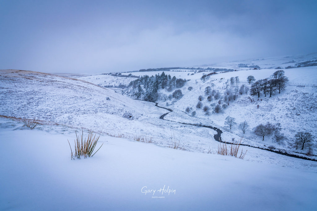Gary Holpin | Photography tweet media
