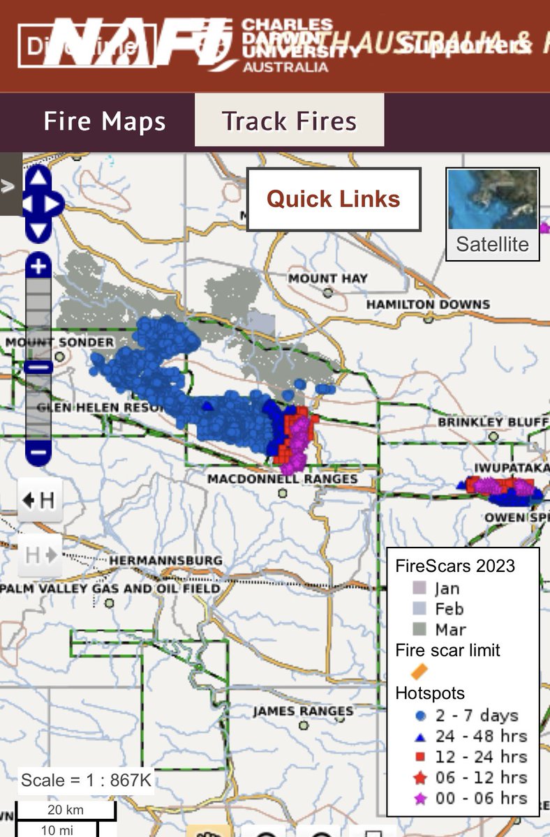 Pat Hodgens tweet media