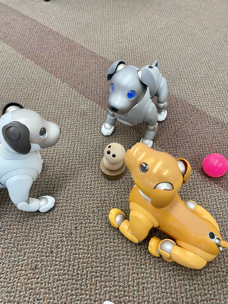 今日は、aibo達が集合してウッドキーポン先輩の下、イベントの役割分担を会議中〜🐕#aibo #sony #キーポン　#ロボットうさみっと　#宇佐市
