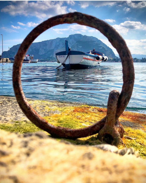 zerozeronewsIT's tweet photo. #FotodAutore sono molti particolari e suggestivi gli scatti della rassegna settimanale delle foto d'autore realizzati da: #BSchwarz #LLanza #FVilla #MMoratti #MSerrago #RModica #GMelis #CSCostanzo #FRotolo #RGiacosa
https://t.co/SdwXSASpj4 https://t.co/lVWFRiWoX6