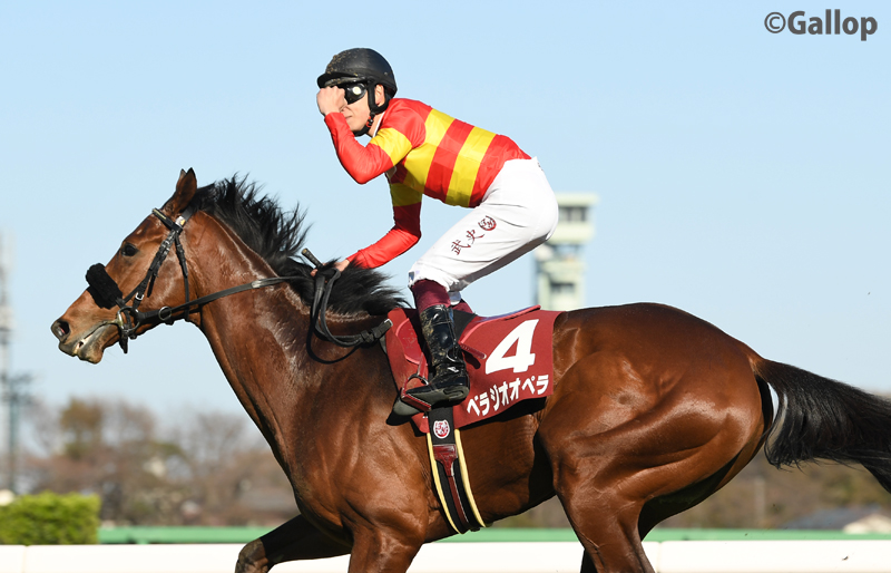 gallop_keiba's tweet image. 中山11R、皐月賞トライアルの #スプリングS は2番人気 #べラジオオペラ が優勝🏆
中団から力強い末脚で抜け出し、デビューから無傷の3連勝✨ 管理する #上村洋行 調教師は嬉しい重賞初制覇となりました👏