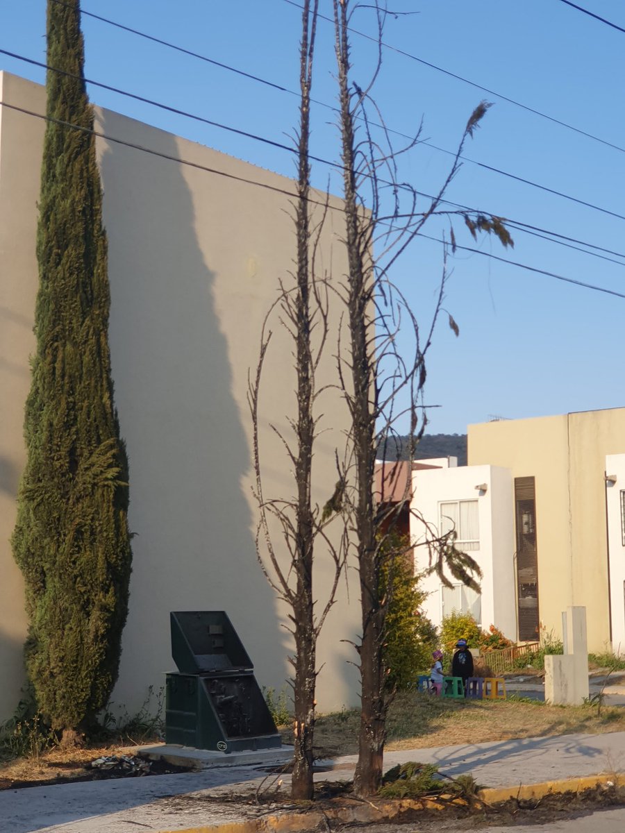 landoncarter7's tweet photo. @CFE_Contigo @CFEmx @Edomex @AztecaNoticias @CFE_Contigo  @CFEmx urge que atiendan el folio L2042139964 en Citara Huehuetoca, no nos podemos quedar más tiempo sin luz, como es posible que su personal diga que no cuentan con material para realizar la reparación. Ayuda @AztecaNoticias @isidrocorro https://t.co/xAGNTo0sBg