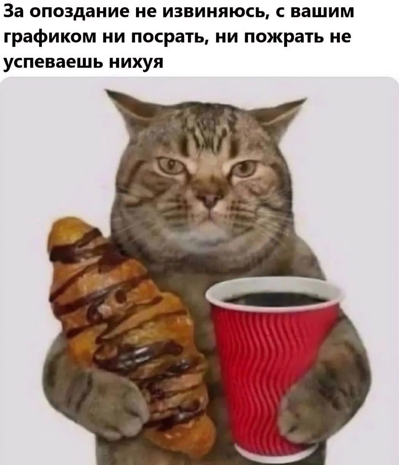 Первый месяц на работе/все остальное время