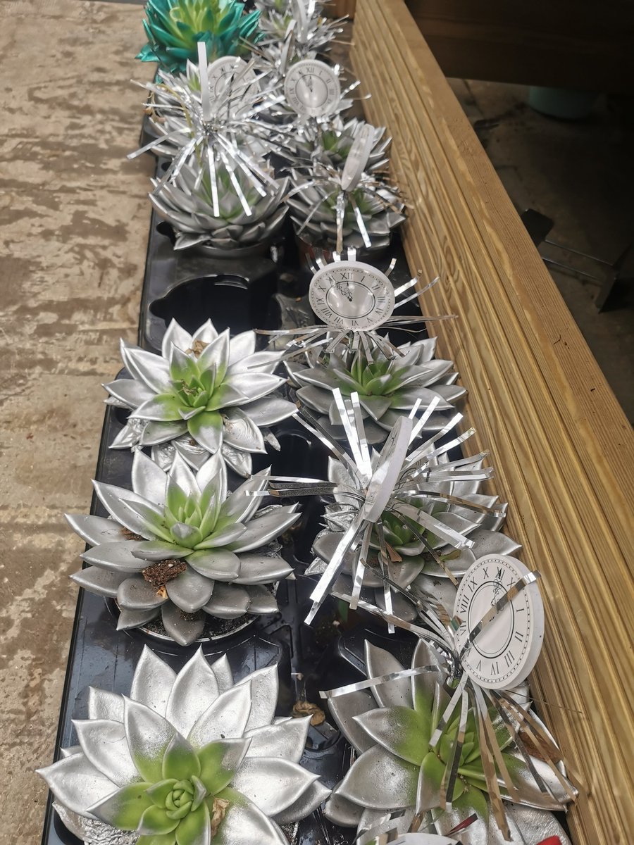 ZephaniahLindo's tweet photo. When will this madness stop!
Even if it wasn't a crime against Horticulture then its a crime against good taste!
#stopjuststop https://t.co/cwBPoH3ZU4