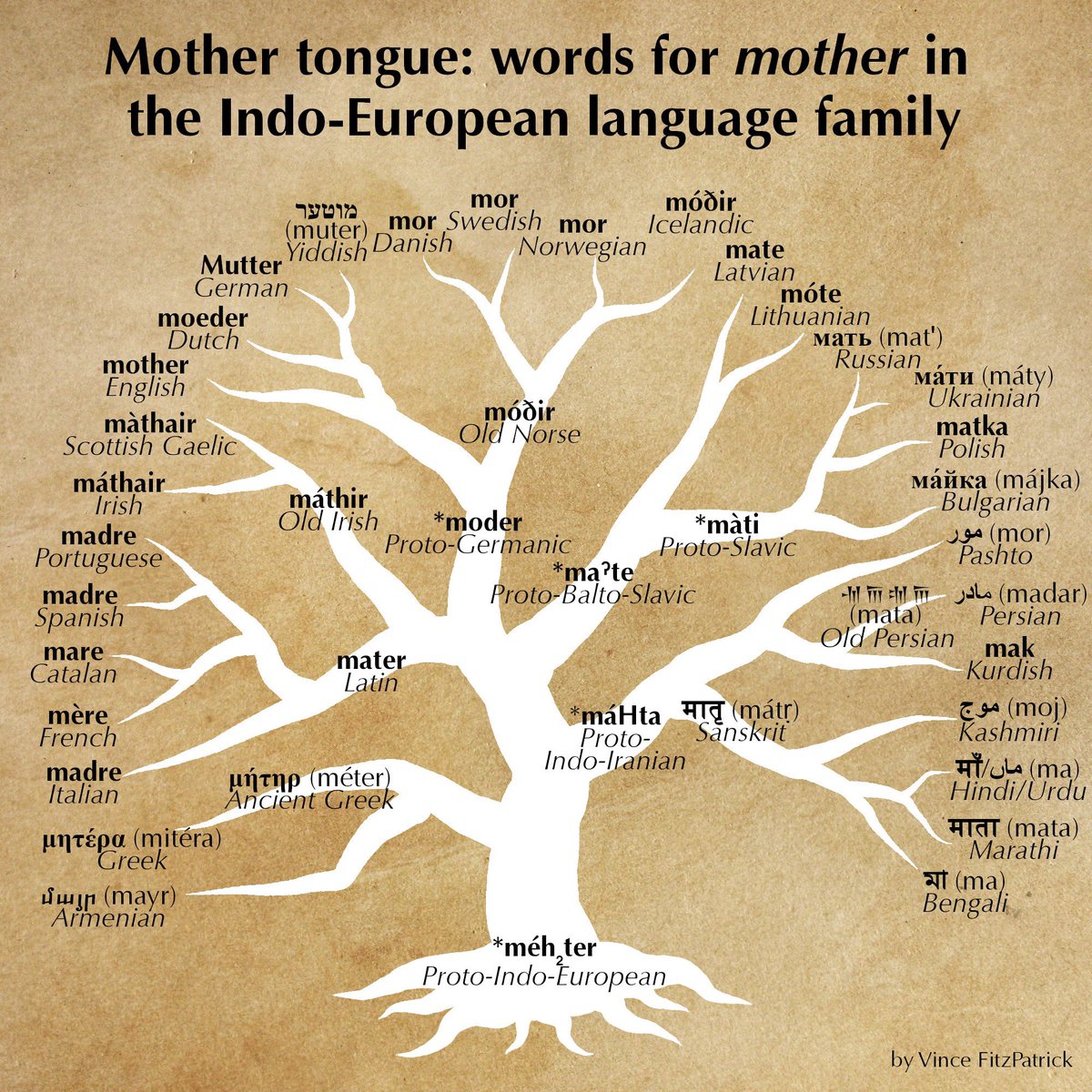 Since it’s #MothersDay , a reminder Mother is one of the oldest words in the world… it would have been understood by those at the tail end of the ice age 💜