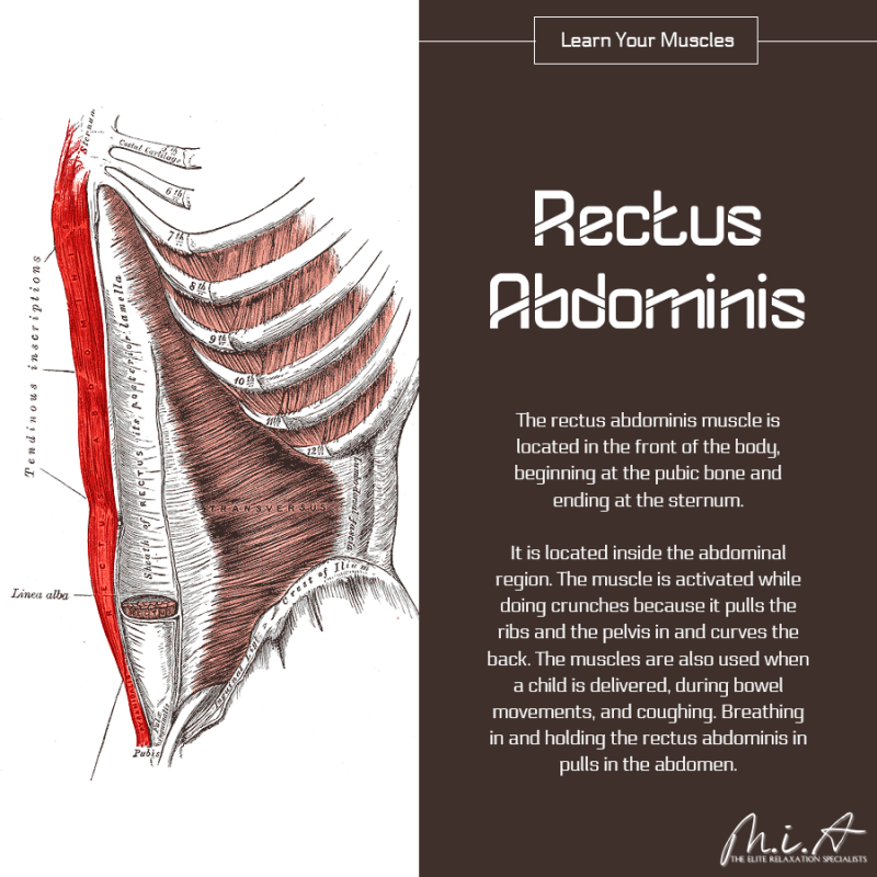 JustGoMIA's tweet image. Book Online Here👉 t.ly/pakC