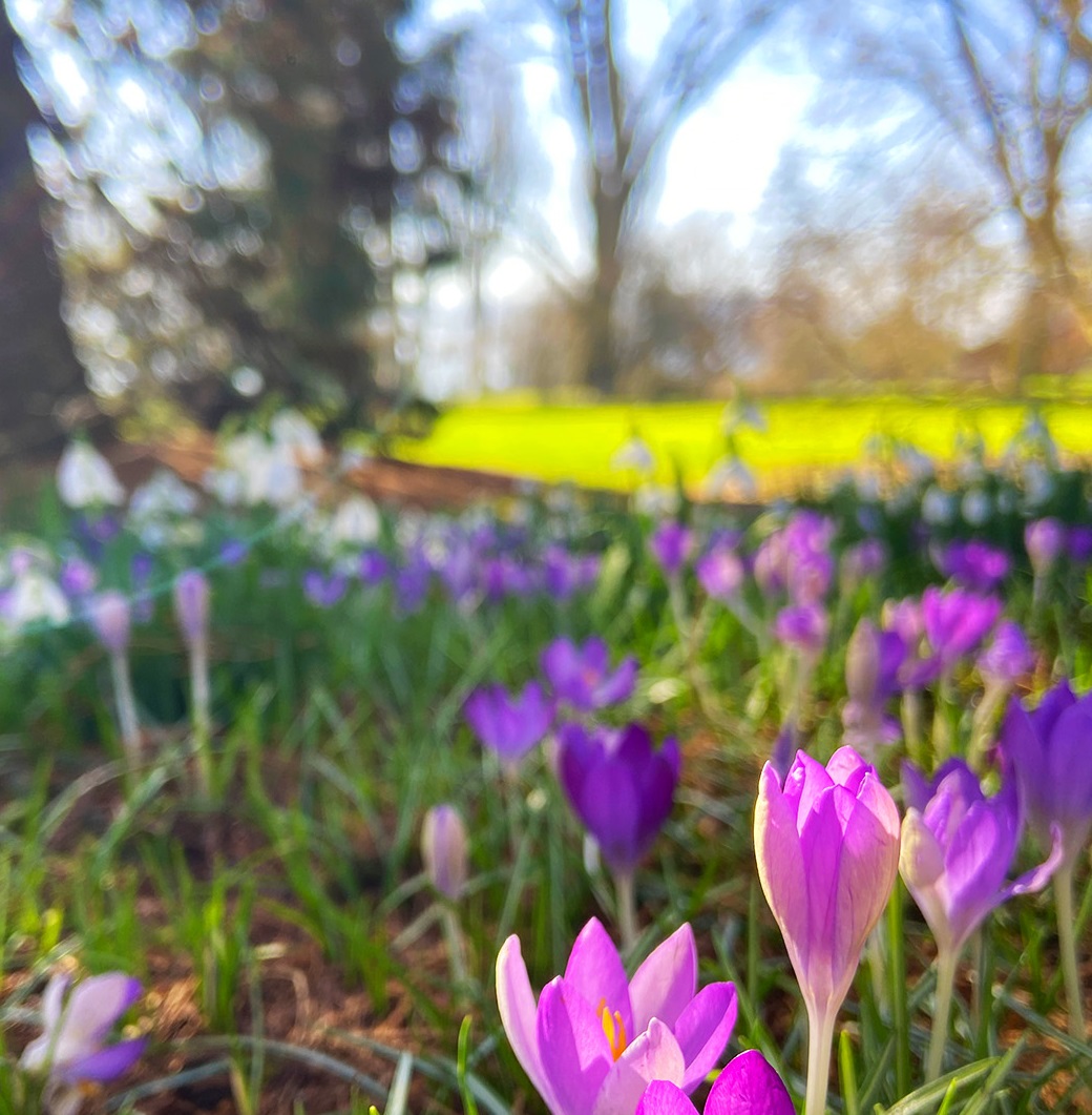 EwelinaSkalsky's tweet photo. #goodmorning , #spiring, #outdoors
morning in the park.....spring is coming https://t.co/kcFrwQfwFn