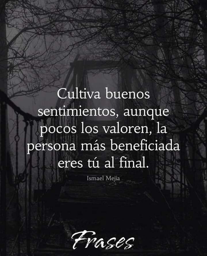VidaEquilibrada (@vidaequilibrad4) on Twitter photo 