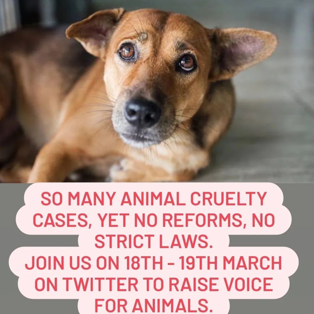 #NoMore50 -Please request the authorities that we need strong laws against animal cruelties in India. @narendramodi @PMOIndia @PRupala @Dept_of_AHD @PIB_MoFAHD @PIB_India @AwbiBallabhgarh @SCJudgments @scobserver @indSupremeCourt