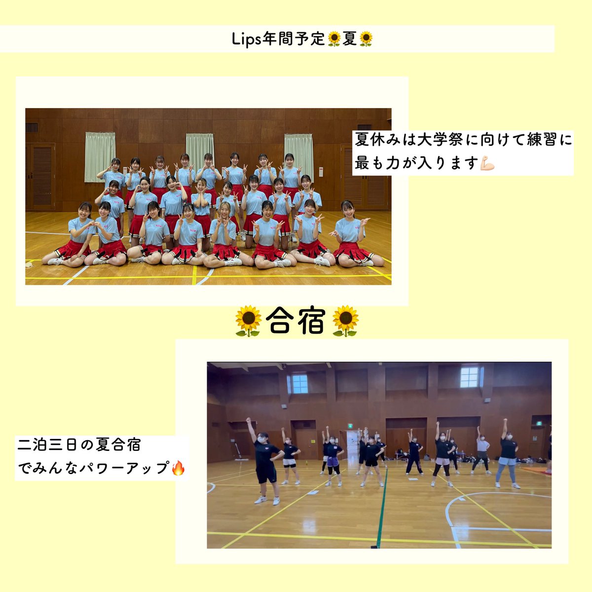 lips_cheer's tweet photo. こんにちは！チアリーディングサークルLipsです💄💞

💄新歓企画:年間予定💄

今回は年間予定の夏編の紹介です🌻🌻

夏はLipsの勝負期間！🔥夏のLipsは大学祭公演に向けて本格的に練習を行います！
そこで、夏には2泊3日の合宿が行われます💪🏻

明日は秋編です！🍁お見逃しなく❕

#春から千葉大 https://t.co/ifzrPn5NI5