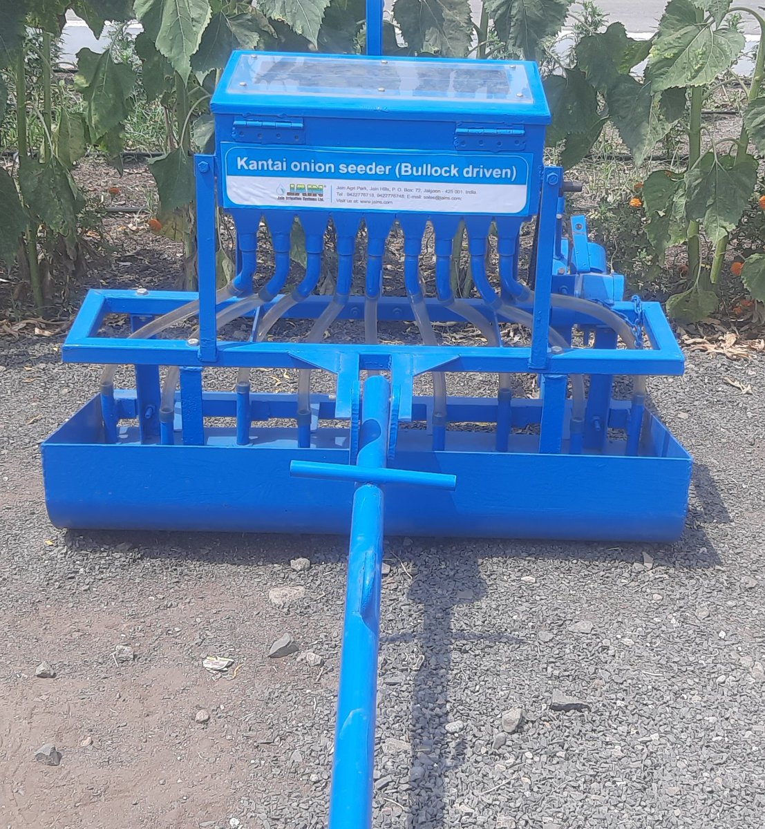 BDJade1's tweet photo. Small Idea Big Revolution by #JainIrrigation. It's bullock drawn Onion Seeds sowing machine. It is highly labour intensive crop. Now no need of preparation of Nursery. Can sow 5 -6 acres/day.
@PMOIndia
@nstomar
@SecyAgriGoI
@AjitJisl
@icarindia
@AGROWON
@PotliNews
@AbhijitMDeore1 https://t.co/3DQtz6KD1G