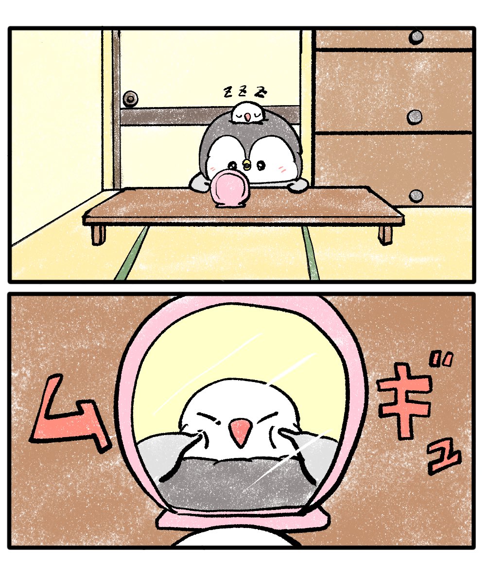 ちゃんぺんと文鳥
「ぷにっぷにっ」 