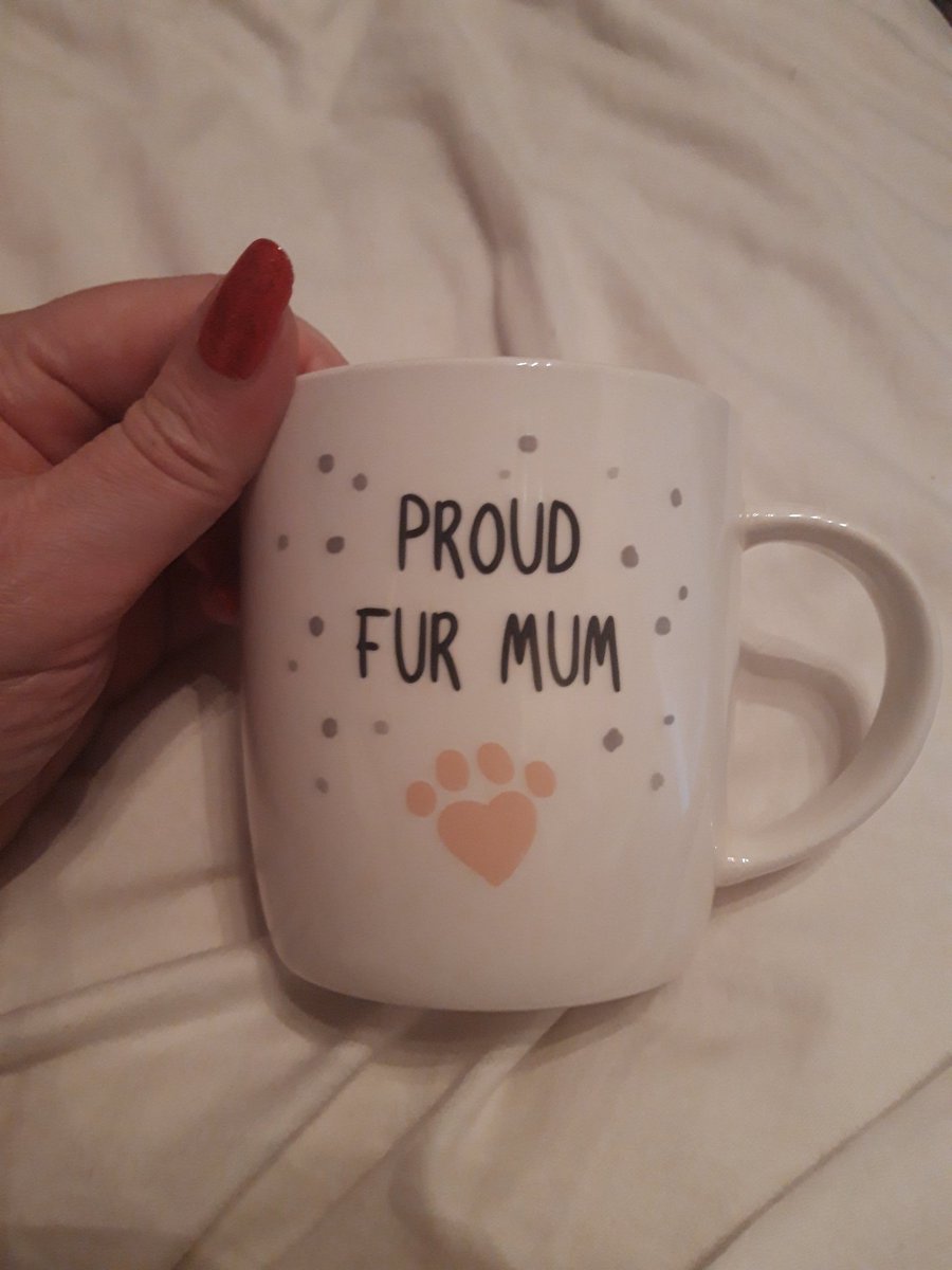 leighfallas's tweet photo. My first ever mothers day present... I might never be a real mum but am a good cat mum!!! https://t.co/OCzMHVUzd7