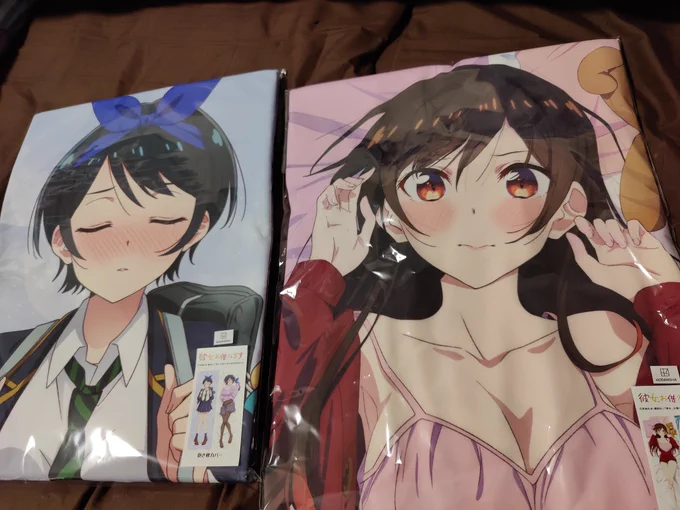 こいつまた抱き枕手に入れてるぜ…? 