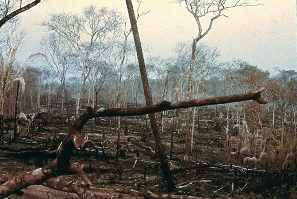 Raquel Bravo ens presenta “Mato Grosso” sobre la post-memòria després de la trobada de l’autora amb l’arxiu fotogràfic del seu pare. 

Podreu veure aquesta fantàstica exposició al Castell de la Bisbal. Inauguració el dia 25 de Març per la tarda. 

No us la perdeuuuu! 👒🌴📸