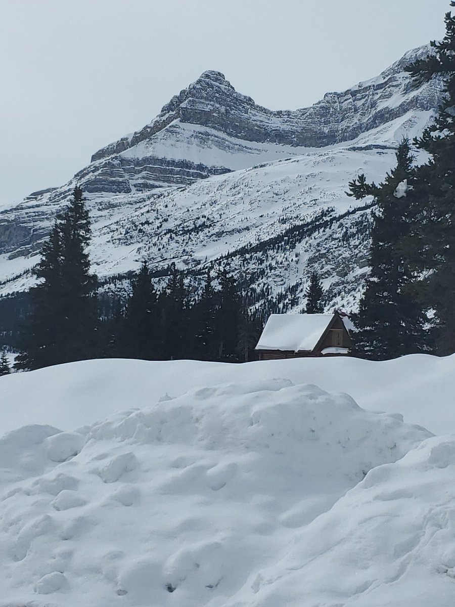 susdaddy902's tweet photo. Life be good #Banff #bigmove #newadventures https://t.co/6zTezrxW5y