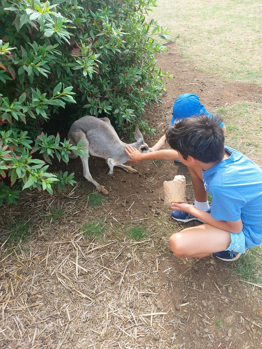 Kids loved the break too, I was wearing my #saitama hoodie every where around #Phillipisland